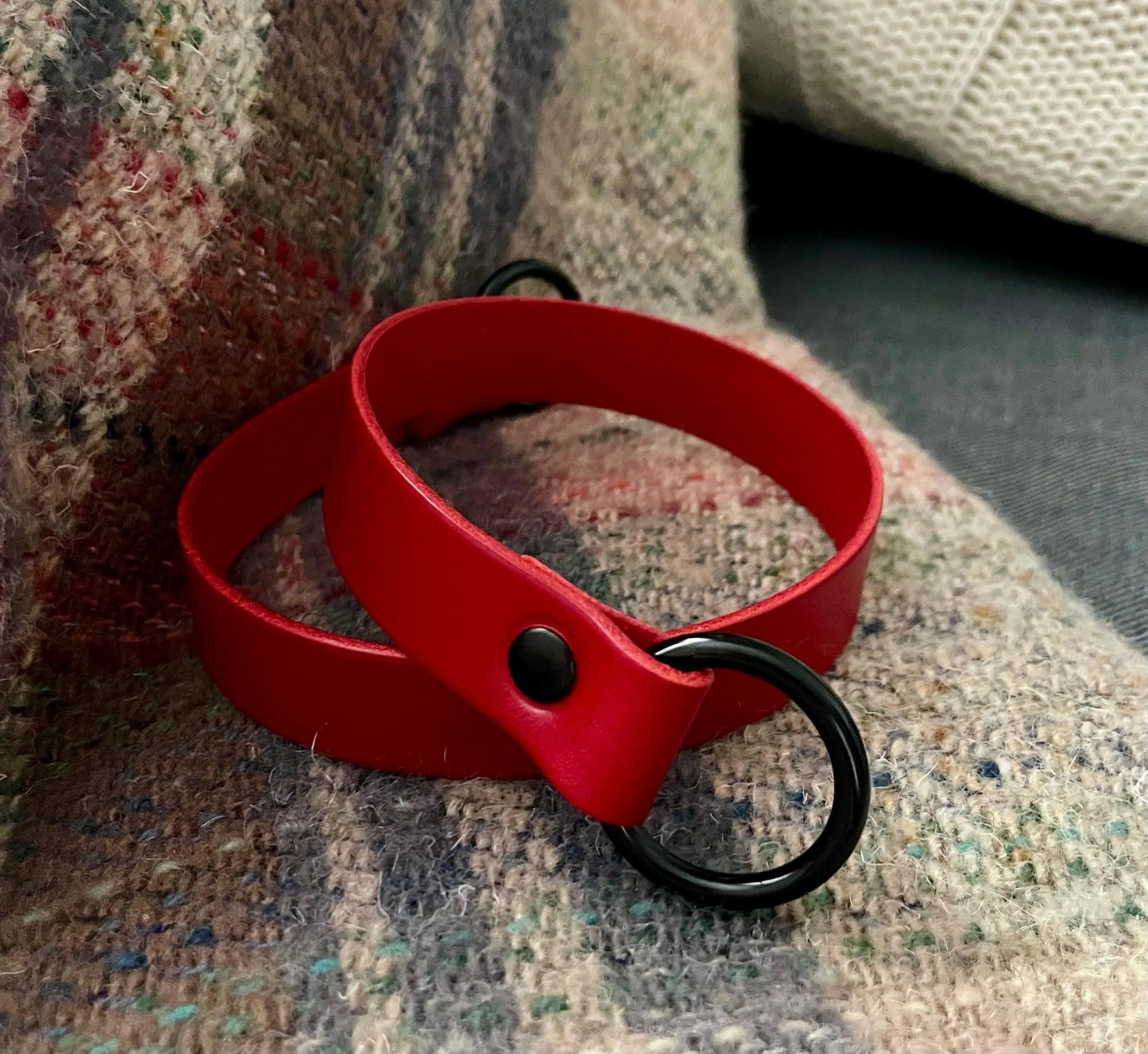 Leather Curtain Tie Back - Red